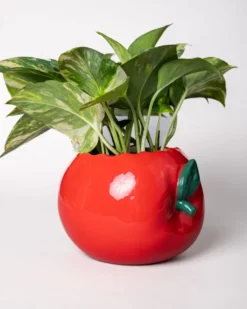Apple Planter
