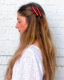 Bacon Alligator Hair Clip Set