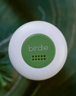 Birdie Disc - Forest