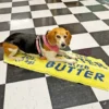 Butter Rug