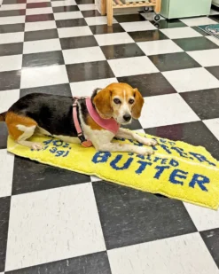 Butter Rug