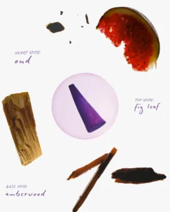 Dream Incense Droplets - Fig Leaf