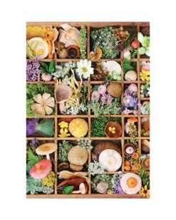 Flowers And Fungi - 500 Piece Puzzle