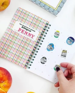 Fruit Sticker Journal Book