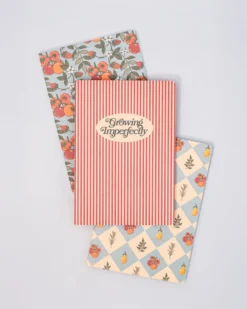 Hold That Thought Notebook Set - Growing Imperfectly