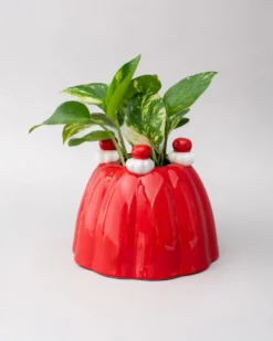 Jelly Dessert Vase