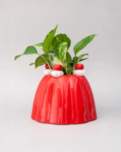Jelly Dessert Vase