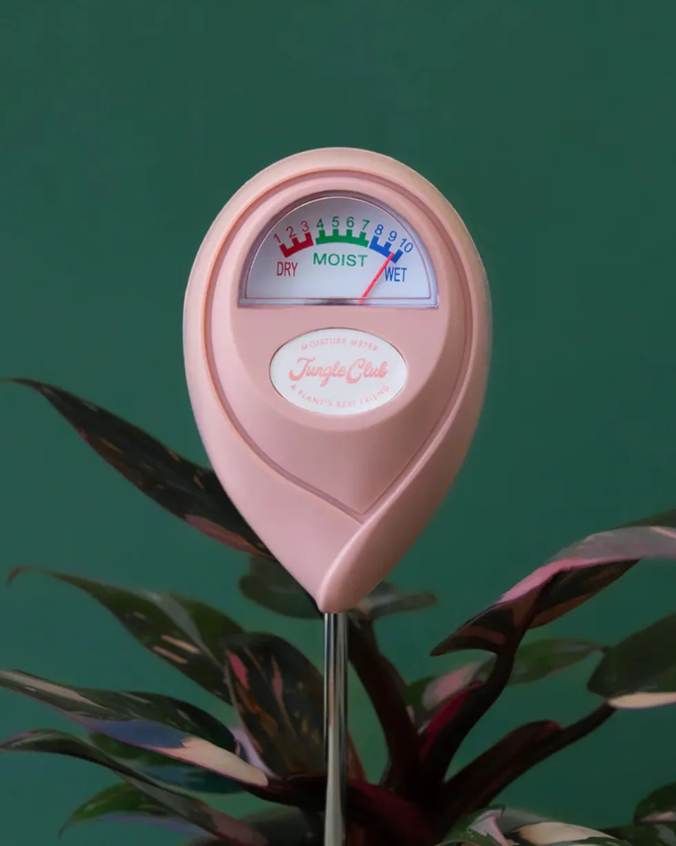 Moisture Meter - Pink