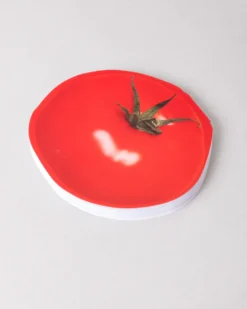 Novelty Notepad - Tomato