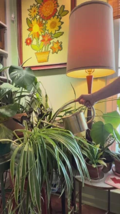 Plant Mister - Peach