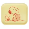 Snoopy & Woodstock Watermelon Tray