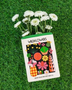 Wildflower Seeds Vase