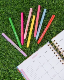 Write On Felt Tip Pen Set - Assorted